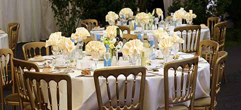 Yellow and blue table setting.