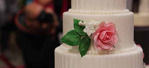 White wedding cake with single pink rose.