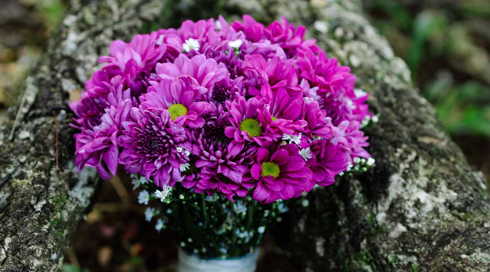 Purple daisy bouquet.